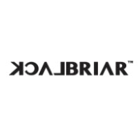 BLACKBRIAR logo