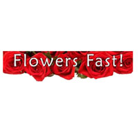 Flowers Fast logo