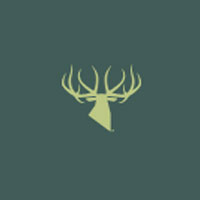Kings Camo logo